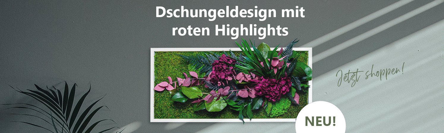styleGREEN-Pflanzenbild-im-Dschungeldesign-Hortensien-Kategorie-Header