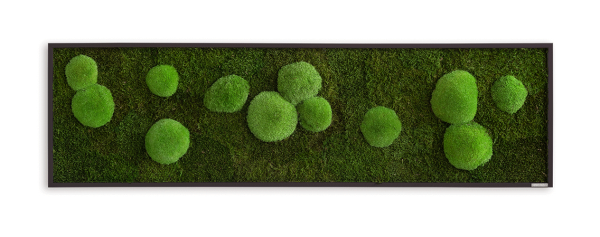 Moss picture: Pole and forest moss picture 140x40cm