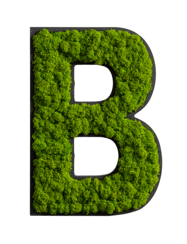 Pictogram: Letter B Reindeer moss May green Adhesive points